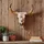 MCW Deko Schädel MCW-Q11, Polyresin Stier Bulle Longhorn Kopf Trophäe mit Verzierung, In-/Outdoor 41cm