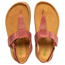 El Naturalista Unisex. 2600411SV005_008 Ledersandalen N6004 rot 41 Wohnung, Klettverschluss, Lässig