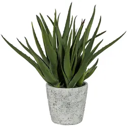 CREATIV green künstliche Pflanze Aloe, ca 44cm