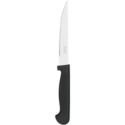 PRADEL ESSENTIEL amefa 24 Steak-Schnitzel 21cm pp.