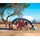 Coleman FastPitch Shelter XL 4,5 x 4,5 m weiß/blau