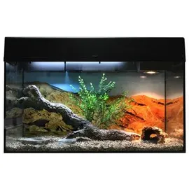 Lucky Reptile Starter Kit Bartagame, Farbe:Schwarz