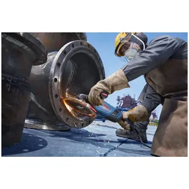 Bosch EXWS30-230PB für 230 mm