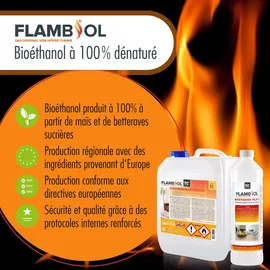 Höfer Chemie Flambiol Bioethanol 96,6% Premium 5 l 4 St.