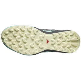 Salomon Speedcross Peak Damen Icicle/Castlerock/Aruba Blue 37 1/3