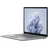 13,5" Intel Core Ultra 7 165H 32 GB RAM 256 GB SSD Platin