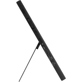 Asus ProArt PA169CDV 15,6" schwarz
