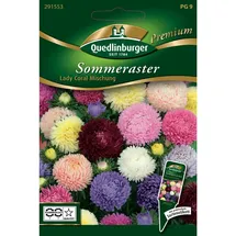 Quedlinburger Sommerastern, Lady Coral Mischung