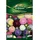 Quedlinburger Sommerastern, Lady Coral Mischung