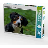 Calvendo Entlebucher Sennenhund Emma 1000 Teile Lege-Größe 64 x
