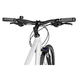 Axess Veris Cross 28 Zoll RH 50 cm silber/weiß