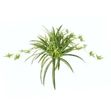 I.GE.A. Kunstpflanze I.GE.A. Wasserlilie grün, B:60cm H:38cm, Obermaterial: 90% Polyester, 10% Kunststoff, Kunstpflanzen, Kunstpflanze