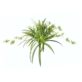 I.GE.A. Kunstpflanze I.GE.A. Wasserlilie grün, B:60cm H:38cm, Obermaterial: 90% Polyester, 10% Kunststoff, Kunstpflanzen, Kunstpflanze