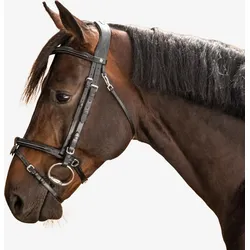 Trense Ziernähte Leder Pferd/Pony - 580 schwarz SCHWARZ WARMBLUT