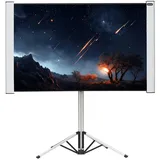 Celexon Dual-Format Stativleinwand Mobil Expert 4:3/16:10 - 172 x 108cm 80"