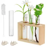 Belle Vous Hängende Glas Reagenzgläser für Blumen - 4 Kleine Vasen Set (1 Ersatz) mit Holzständer - Reagenzglas Vase für Pflanzen, Pflanzenvermehrung, Hydrokultur & Deko für Tisch oder zum Aufhängen