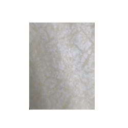 ELBE blue Line Exclusive Line – Pearl SBGD 160 1,65 x 25,0 m 41,25 m2 1,6 mm sand pearl