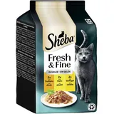 Sheba Fresh & Fine in Gelee mit Truthahn und Huhn 6 x 50 g