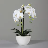 DPI Kunstblume Orchidee 48 cm Kunststoff Beige Creme L (Large)