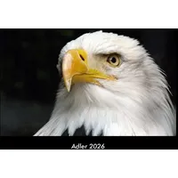 Vero Kalender Adler 2026 Fotokalender DIN A3 von Tobias