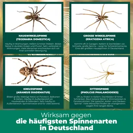 Silberkraft Spinnenspray Insektenvernichter 500 ml