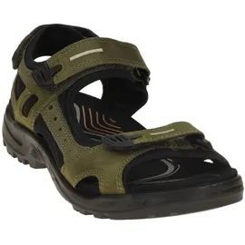 ECCO Offroad Herren braun 44