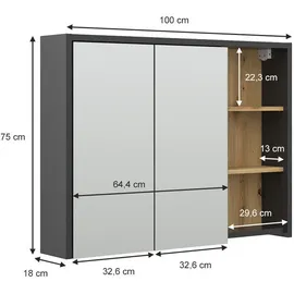 Vicco Spiegelschrank Viola, 100 x 75 cm