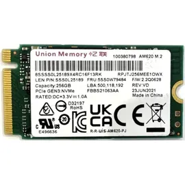 Lenovo UMIS AM620 256 GB M.2