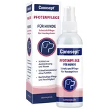 Canosept Pfotenpflege 75 g