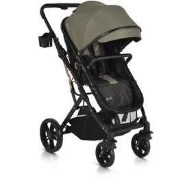 Moni Kombikinderwagen Rafaello 2 in 1, umbaubar, Sportsitz, Fußabdeckung, Tasche grün