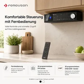 Ferguson Regent Cucina 200 Küchenradio schwarz