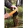 Morakniv Outdoor Axt - Orange Black - One Size