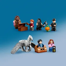 LEGO Harry Potter Hagrid's Hütte: Seidenschnabels Rettung 75947