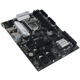 Biostar TZ590-BTC DUO