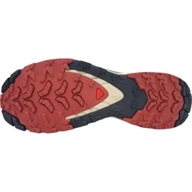 Salomon XA Pro 3D V9 GTX Damen Cow Hide/Black/Faded Rose 40