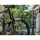 Topeak Tubihead Upgrade Kit Pumpenanschluss schwarz
