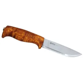 helle-norway Gaupe Maserbirke