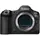 Canon EOS R6 Mark II + RF 70-200mm f/4 L IS USM