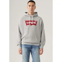 Levi's Hoodie STANDARD GRAPHIC HOOD rot L