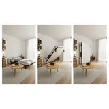 WallBedKing Schrankbett Schrankbett Morphy Horizontal Studio Klappbett - Multifunktion