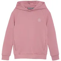 Color Kids Hoodie Pink 128