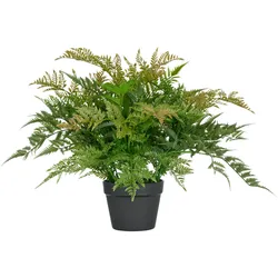 CREATIV green künstliche Pflanze Farnbusch XL, 60x70cm, grün, UV-beständiger,