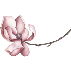 Wandtattoo QUEENCE "Sabrina", rosa, B:80cm, Folie, Wandtattoos, Wandbild, Sticker, rosa, Blume, Blüte, selbstklebend