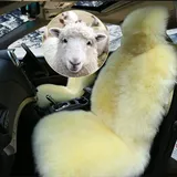 Altlue Lammfell Autositzbezüge - Universal Autositz Sitzbezug Für Auto Sitzauflage - Fell Vordersitze (Einteilig)