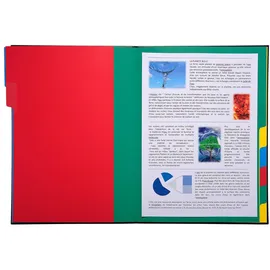 Exacompta Ordnungsmappe mit festem Deckel 3mm, Gummizug und dehnbarem Faltenrücken, 12 Fächer, Ordonator, für Format DIN A4