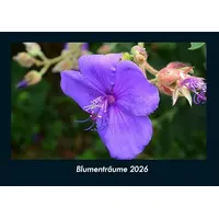 Vero Kalender Blumenträume 2026 Fotokalender DIN A4 von Tobias
