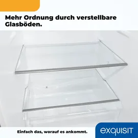 Exquisit KGC233-60-HE-040D Kühl-Gefrierkombination (173 l, 1422 mm hoch, Edelstahl)