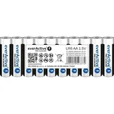 Everactive AA 2900 mAh 10 St.