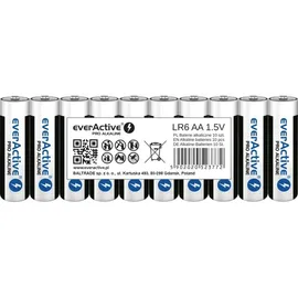 Everactive AA 2900 mAh 10 St.