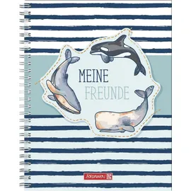 Brunnen Freundebuch Happy Ocean